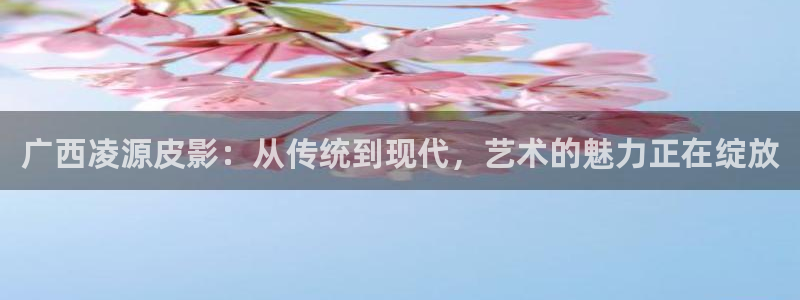 星海之外定档海报