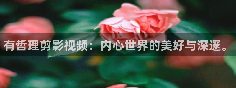 星海之外定档海报