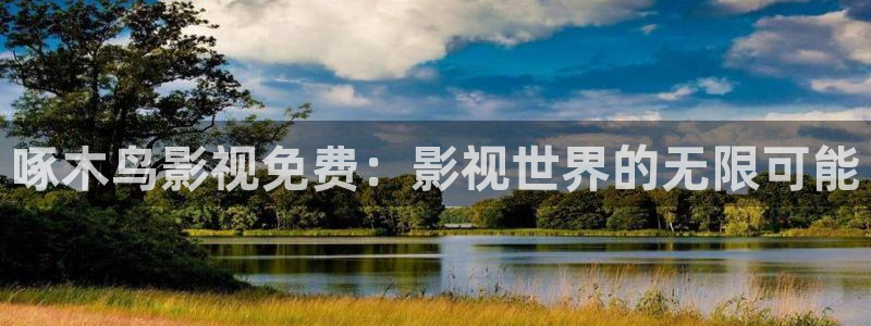 星海之外定档海报