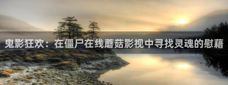 星海之外定档海报
