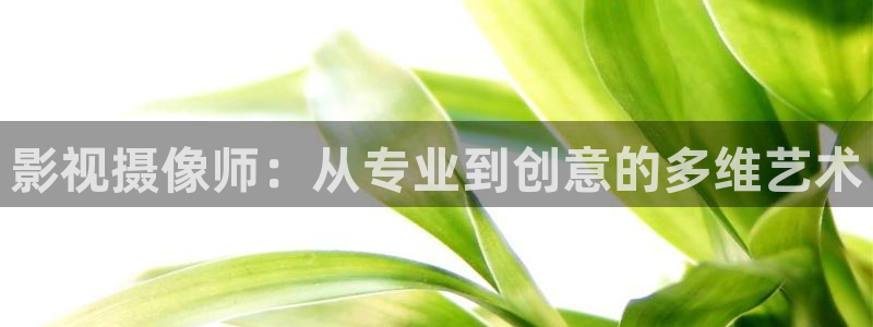 60880新视觉影院