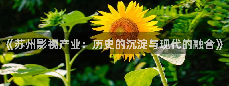 星海之外定档海报