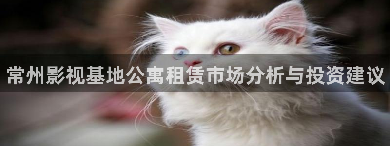 星海之外定档海报