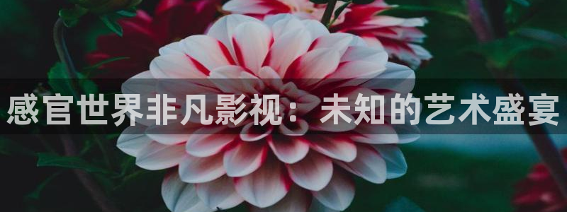 星海之外定档海报